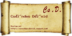 Csöndes Dávid névjegykártya